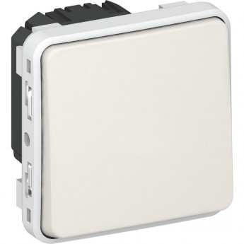 Однополюсный переключатель LEGRAND на два направления Plexo 10 AX белый
