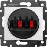Розетка LEGRAND для колонок Valena двойная белый 774424