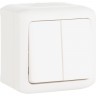 Двухклавишный выключатель LEGRAND Quteo 10 A 250 В IP 44 белый 782302